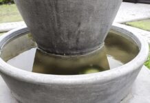 Reporta Salud cinco casos nuevos de dengue en las últimas 24 horas