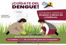 Sin casos de COVID-19 en las últimas 24 horas: Salud