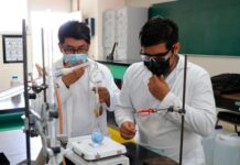 Regresarán a clases más de 1.3 millones de estudiantes el 8 de enero