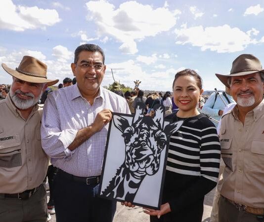 Puebla da bienvenida a jirafa “Benito”: Sergio Salon Céspedes.
