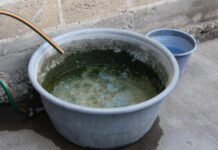 Inicia 2024 sin contagios ni defunciones por dengue en Puebla: Salud