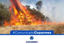 Recorte a presupuesto de CONAFOR afecta la capacidad para atender ola de incendios forestales: Coparmex.