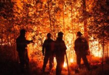 Sofocan incendios en Libres y Coyomeapan