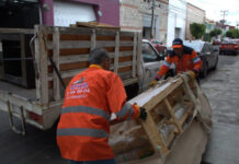 Van más de 900 servicios gratuitos de descacharrización en el primer semestre del 2024.