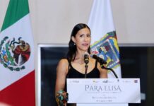 Inaugura Museos Puebla la exposición “Para Elisa. Evocación a Elisa”