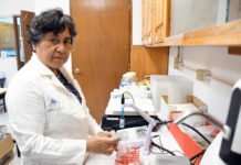 Investigadores de la BUAP detectan metales pesados en polvo de las calles de la ciudad de Puebla