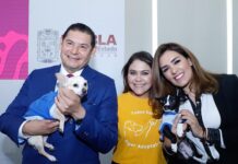 Gobierno y Fiscalía se coordinan para sancionar agresiones a seres sintientes