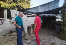 Cero tolerancia y todo el peso de la ley a quien maltrate a seres sintientes: Armenta