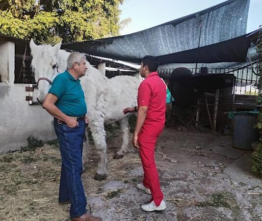 Cero tolerancia y todo el peso de la ley a quien maltrate a seres sintientes: Armenta