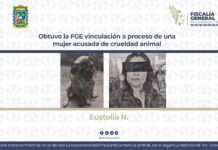 Obtuvo la FGE vinculación a proceso de una mujer acusada de crueldad animal