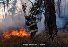 Fueron provocados siete de cada diez de los siniestros de los últimos 15 días: Alejandro Armenta.