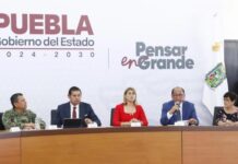 Atienden 20 incendios forestales en una semana