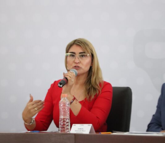 Se localizaron 246 niñas, niños y adolescentes desaparecidos de un total de 273 reportes: FGEP