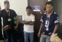 Ayuntamiento logra el decomiso de 12 animales en Analco.