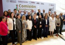 Propone Laura Artemisa reducir a la mitad legisladores plurinominales.