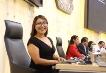 Proponen en el Congreso la creación de un “Fondo de Orfandad” para garantizar el bienestar de menores