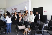 IBA lanza campañas “Patitas contra el Frío” y “Croquetízate con Corazón”.