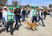 Seres sintientes requieren cuidado, no compras impulsivas: Armenta.