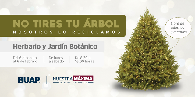 A_RecicladoArbol