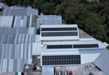 Incentivos Verdes: inversión, energía limpia y fortalecimiento de las MiPyMEs poblanas.