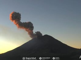 Popocatépetl emite fumarola de 1km; actividad permanente en Amarillo Fase 2.