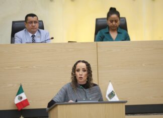 Promueve Susana Riestra propuesta para exigir certificado de no deudor alimentario para hacer a trámites oficiales.