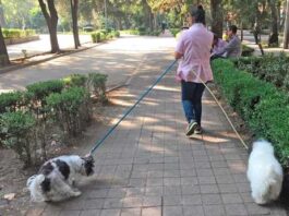 Los cuidados no remunerados, el principal reto para la permanencia de las mujeres en el trabajo: CCE