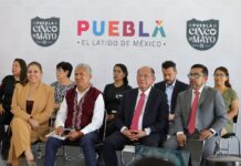 Anticorrupción ha presentado seis denuncias a empresas por la presunta presentación de documentación alterada.
