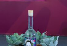 Presentan la convocatoria del concurso “Premio al Origen 2026, Cata de Mezcal y Destilados de Agave”.