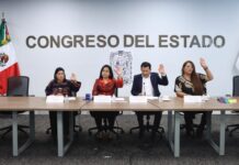 Congreso de Puebla y Asociación Amores Perros buscan prevenir el maltrato hacia los seres sintientes.