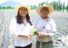 Puebla fortalece la producción de flor de cempasúchil para Día de Muertos.