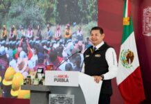 Refuerzan protección de bosques y garantiza vivienda a guardias forestales.
