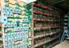 FGR, Marina y SSP aseguran inmueble presuntamente utilizado para minería de criptomonedas.