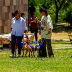 Fomentan el bienestar con segunda edición de Adopta Fest