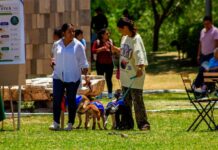 Fomentan el bienestar con segunda edición de Adopta Fest
