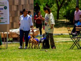 Fomentan el bienestar con segunda edición de Adopta Fest