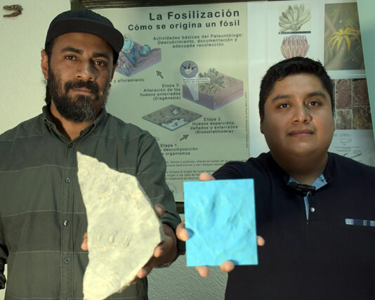 Investigadores BUAP registran nuevas huellas de dinosaurio en Puebla.