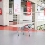 Un nuevo integrante de la IBERO Puebla: perro robot llega al campus.