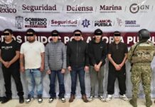 MARINA, SSP y FGE detienen célula de banda “Los Millonarios”