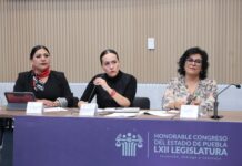 Promueve diputada Araceli Celestino iniciativa para el uso responsable de dispositivos electrónicos en escuelas.