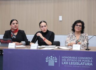 Promueve diputada Araceli Celestino iniciativa para el uso responsable de dispositivos electrónicos en escuelas.