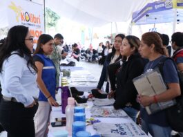 Realizaran Feria Nacional de Empleo para Grupos Vulnerables.