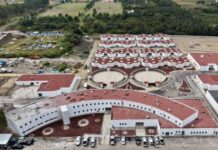 En tres semanas quedará concluida la Célula de Bienestar Animal y Protección de Seres Sintientes: Armenta.