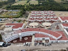 En tres semanas quedará concluida la Célula de Bienestar Animal y Protección de Seres Sintientes: Armenta.