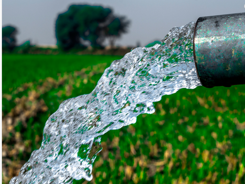 el-desperdicio-de-agua-en-el-campo-mexicano-537895