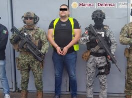 Fuerzas Federales detienen al “nenuco” generador de violencia vinculado con homicidio y asociación delictuosa.